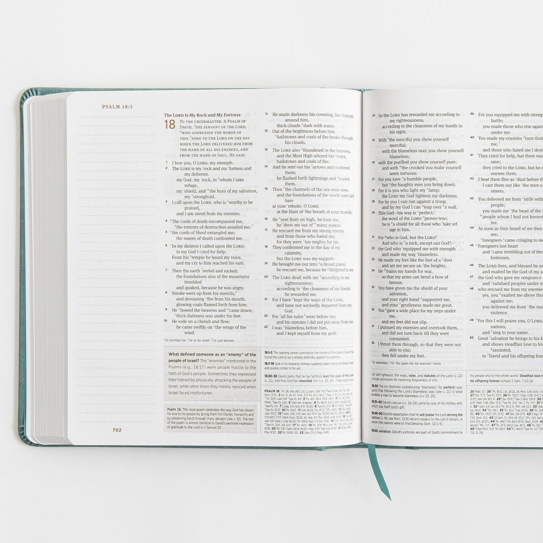 ESV Journaling Study Bible - TruTone over Board, Paris Sky, Fleur-de-lis Design