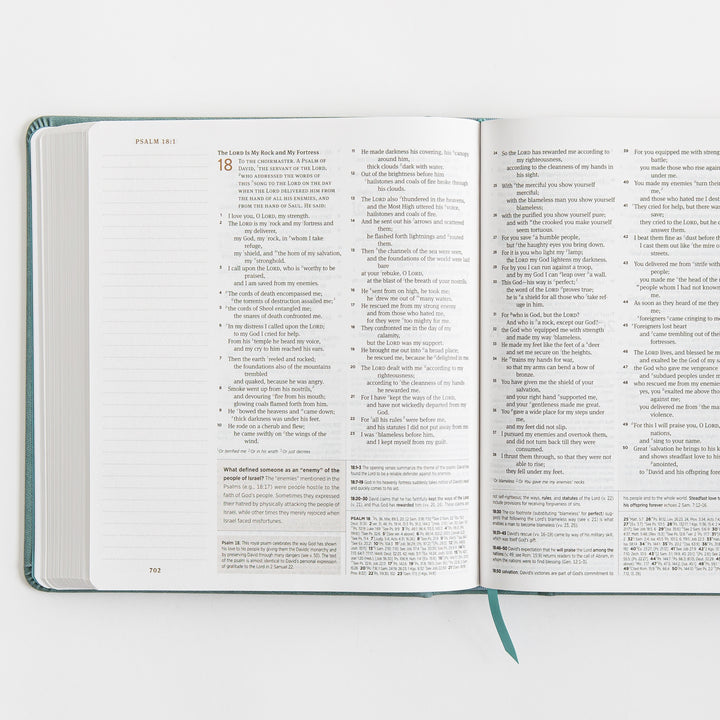 ESV Journaling Study Bible - TruTone over Board, Paris Sky, Fleur-de-lis Design