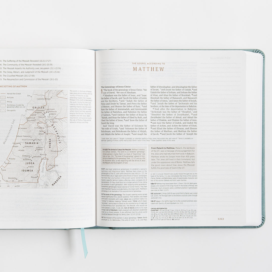 ESV Journaling Study Bible - TruTone over Board, Paris Sky, Fleur-de-lis Design