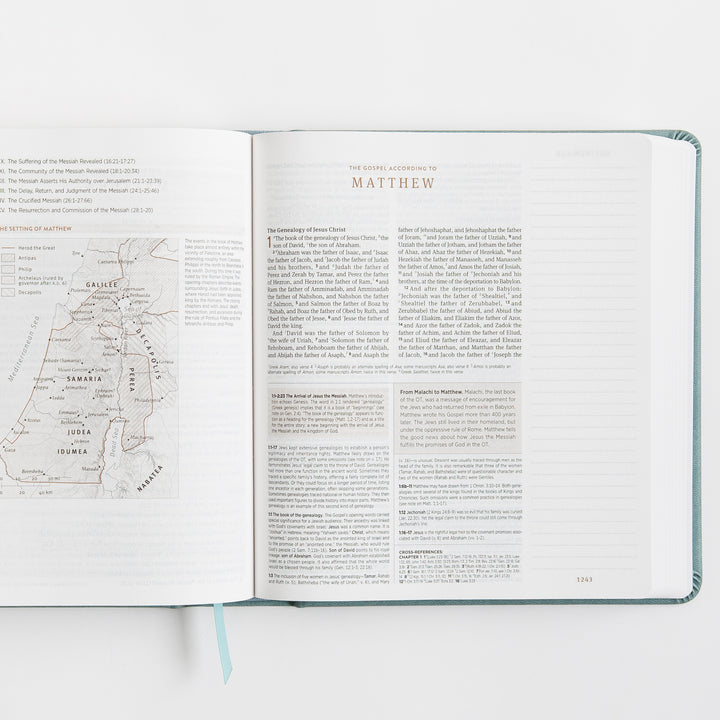 ESV Journaling Study Bible - TruTone over Board, Paris Sky, Fleur-de-lis Design