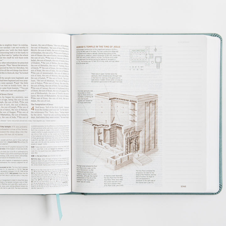 ESV Journaling Study Bible - TruTone over Board, Paris Sky, Fleur-de-lis Design