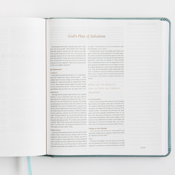ESV Journaling Study Bible - TruTone over Board, Paris Sky, Fleur-de-lis Design