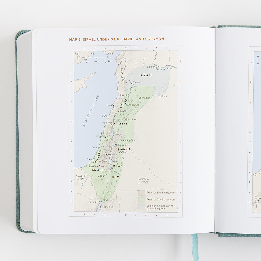 ESV Journaling Study Bible - TruTone over Board, Paris Sky, Fleur-de-lis Design