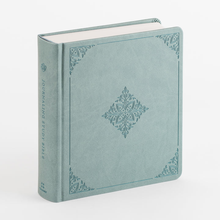 ESV Journaling Study Bible - TruTone over Board, Paris Sky, Fleur-de-lis Design