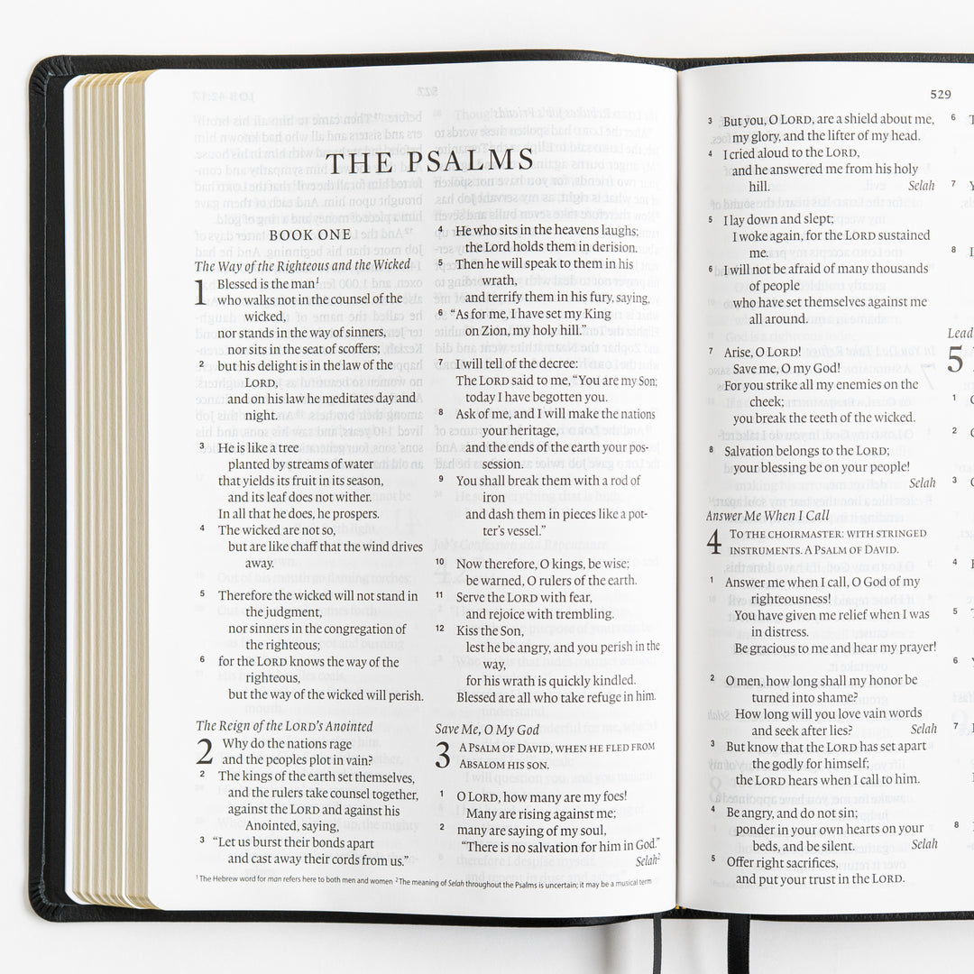 ESV Large Print Bible - Top Grain Leather, Black