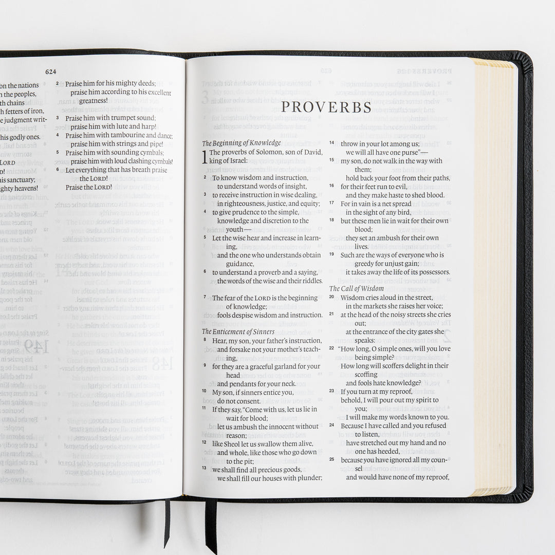 ESV Large Print Bible - Top Grain Leather, Black