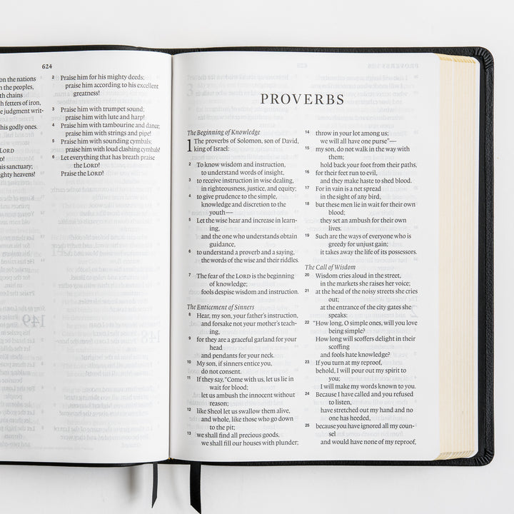 ESV Large Print Bible - Top Grain Leather, Black