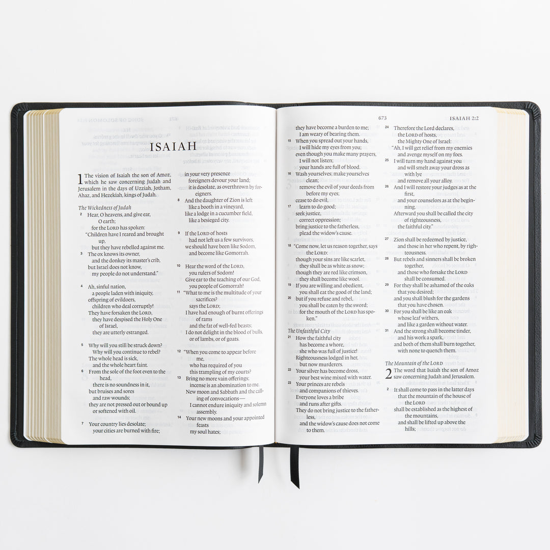 ESV Large Print Bible - Top Grain Leather, Black