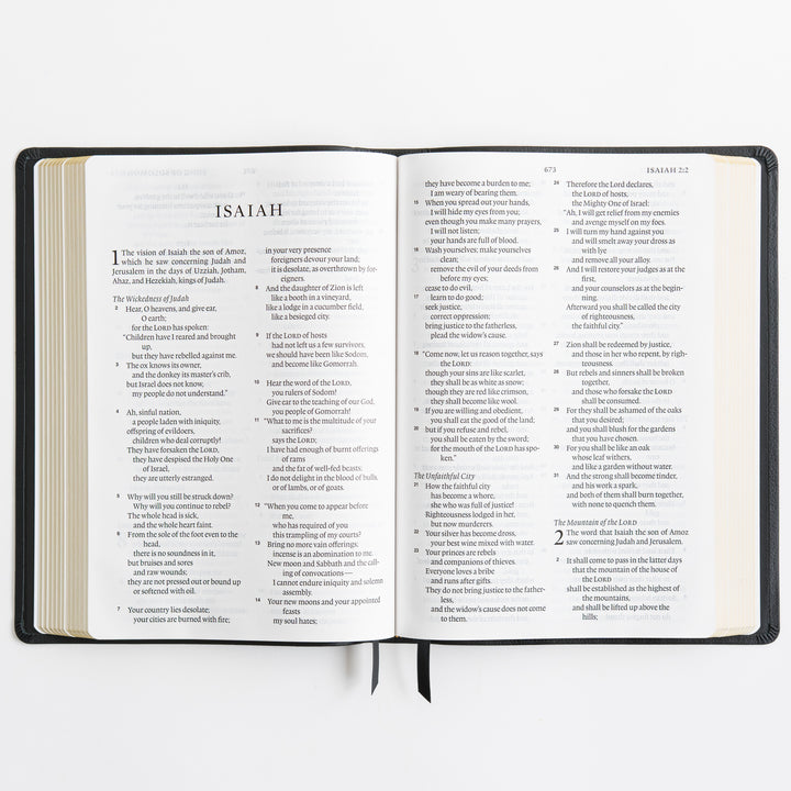 ESV Large Print Bible - Top Grain Leather, Black