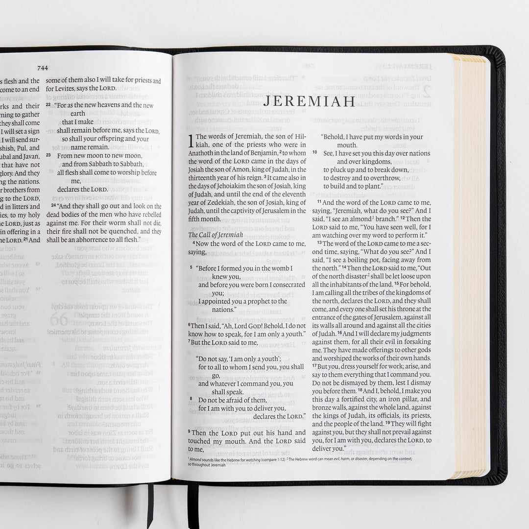 ESV Large Print Bible - Top Grain Leather, Black
