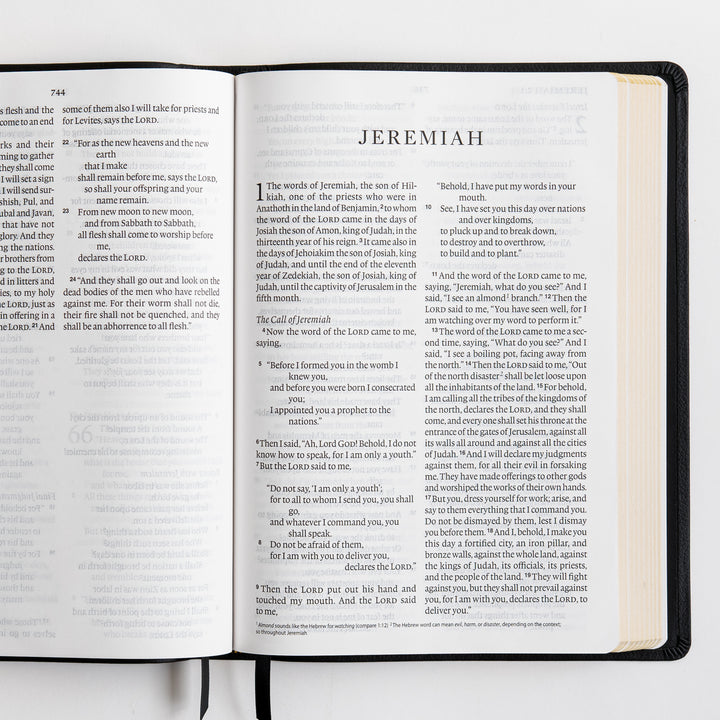 ESV Large Print Bible - Top Grain Leather, Black