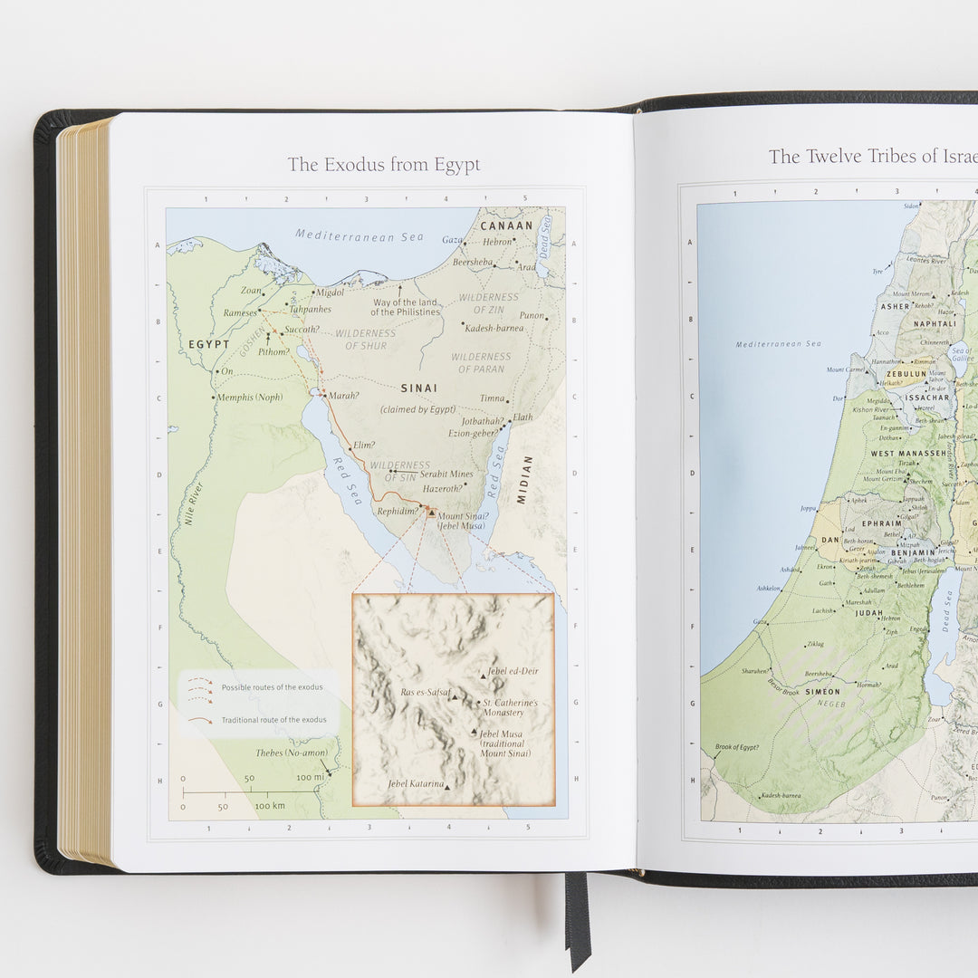 ESV Large Print Bible - Top Grain Leather, Black