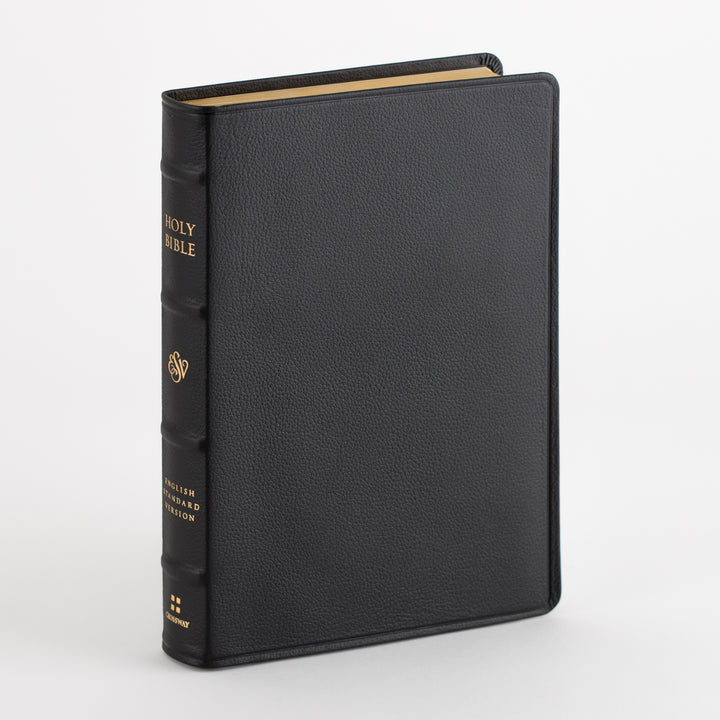 ESV Large Print Bible - Top Grain Leather, Black