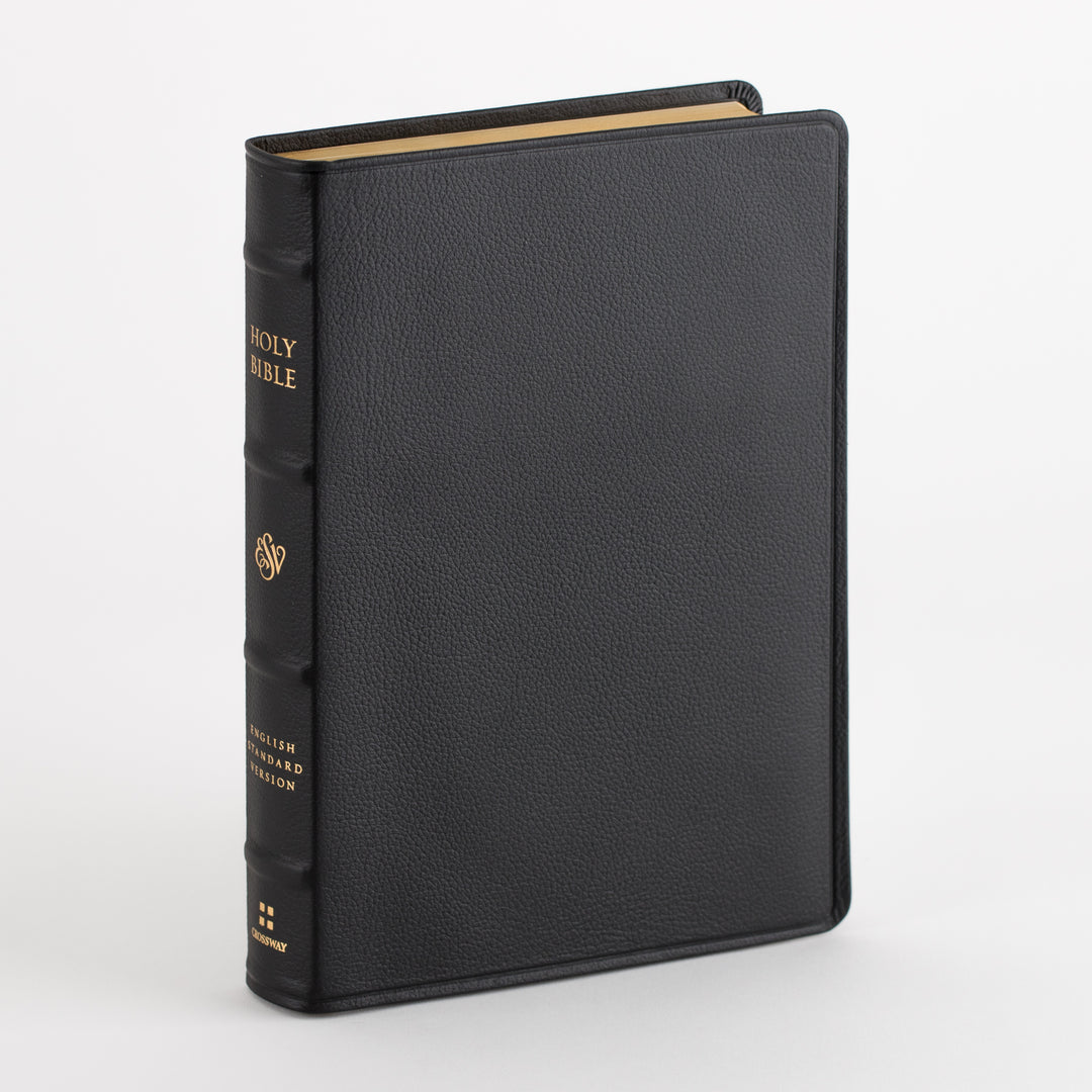 ESV Wide Margin Reference Bible, Red Letter - Top Grain Leather, Black