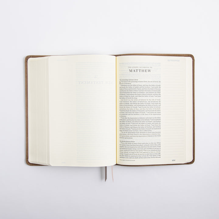 ESV Large Print Journaling Bible - Nara Theme