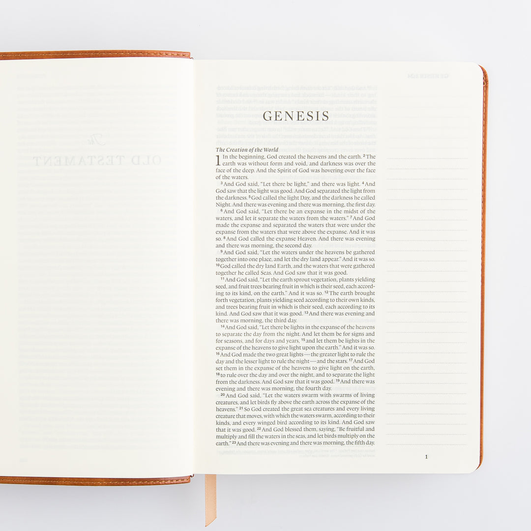 ESV Large Print Journaling Bible: Sierra Theme