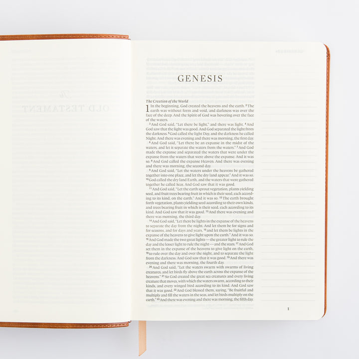 ESV Large Print Journaling Bible: Sierra Theme