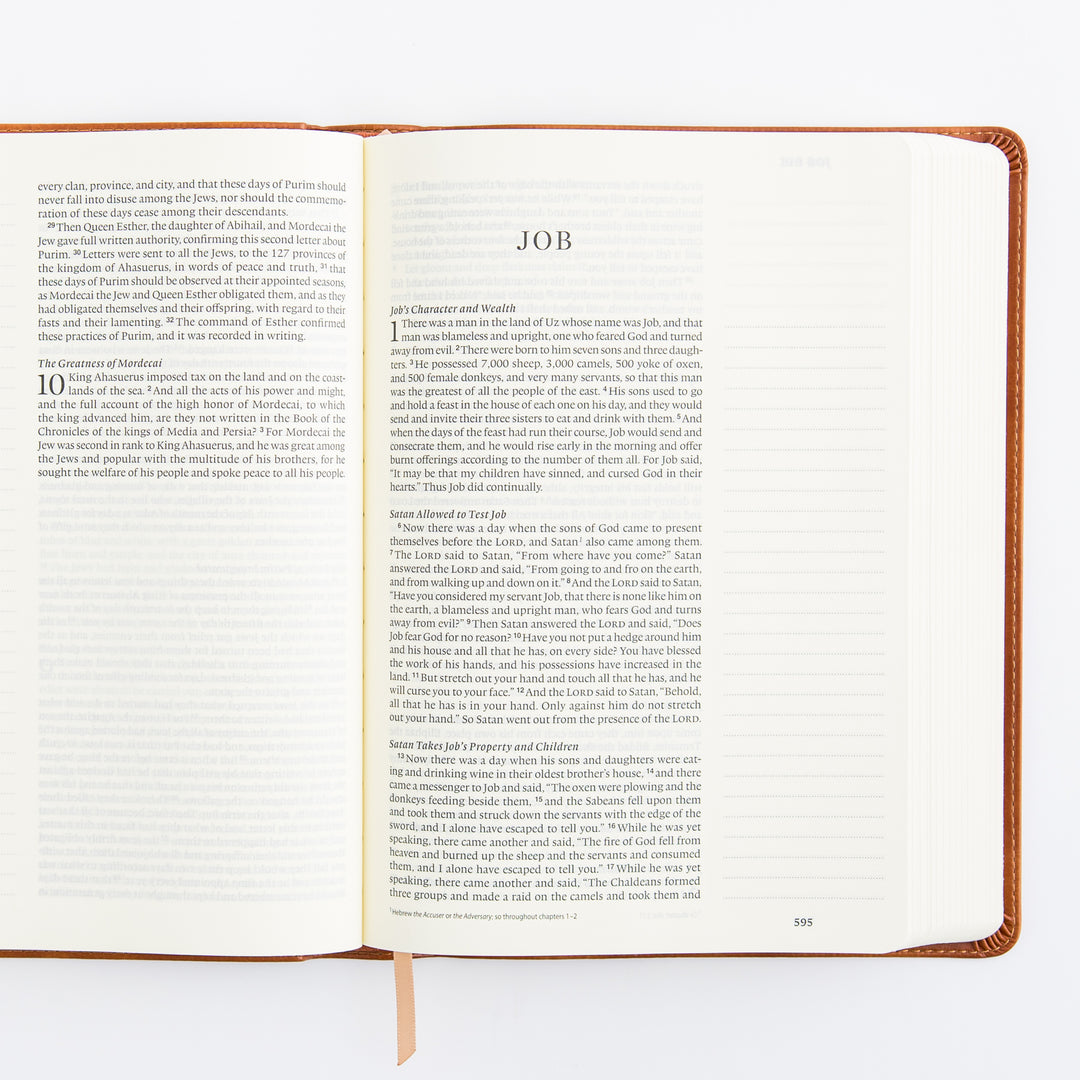ESV Large Print Journaling Bible: Sierra Theme