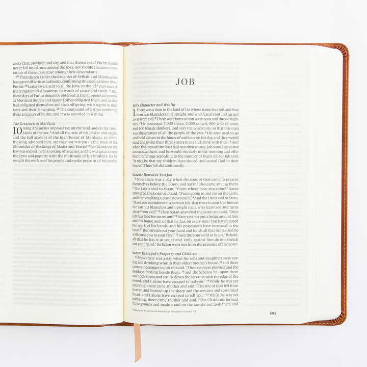 ESV Large Print Journaling Bible: Sierra Theme