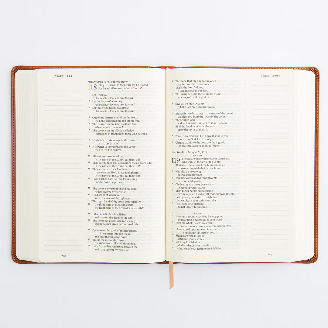 ESV Large Print Journaling Bible: Sierra Theme