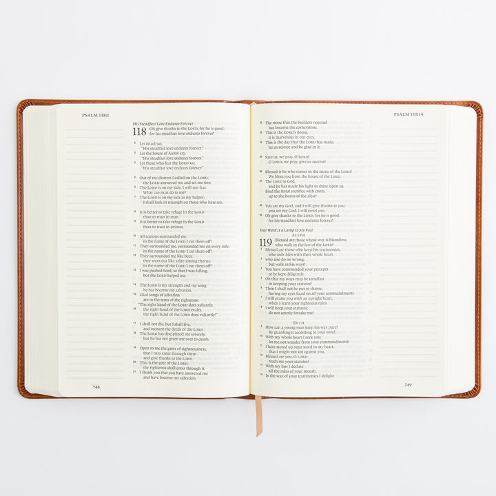 ESV Large Print Journaling Bible: Sierra Theme