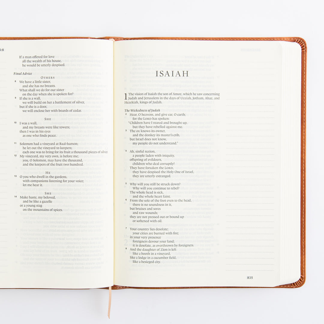 ESV Large Print Journaling Bible: Sierra Theme