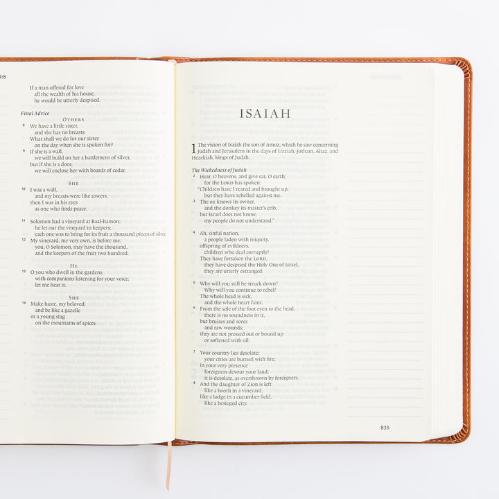 ESV Large Print Journaling Bible: Sierra Theme