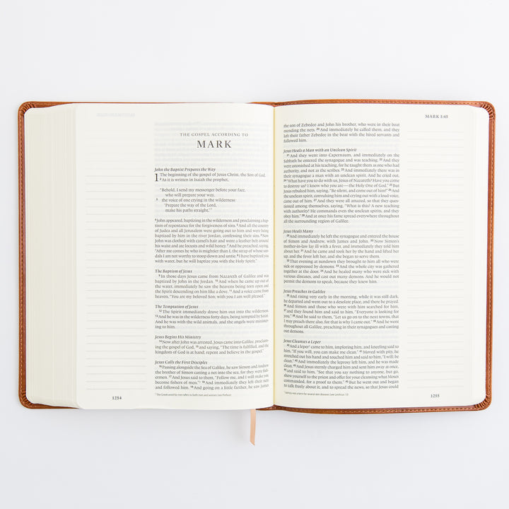 ESV Large Print Journaling Bible: Sierra Theme