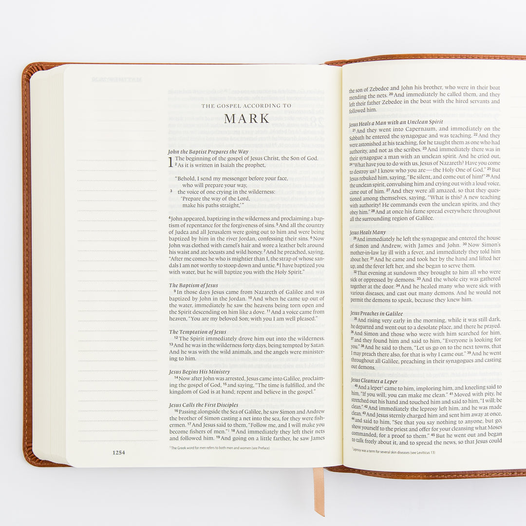 ESV Large Print Journaling Bible: Sierra Theme
