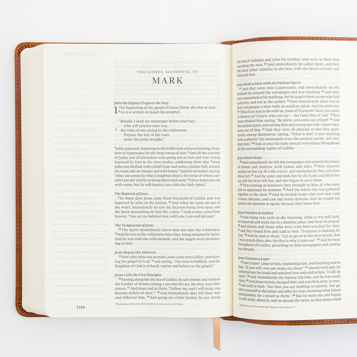 ESV Large Print Journaling Bible: Sierra Theme