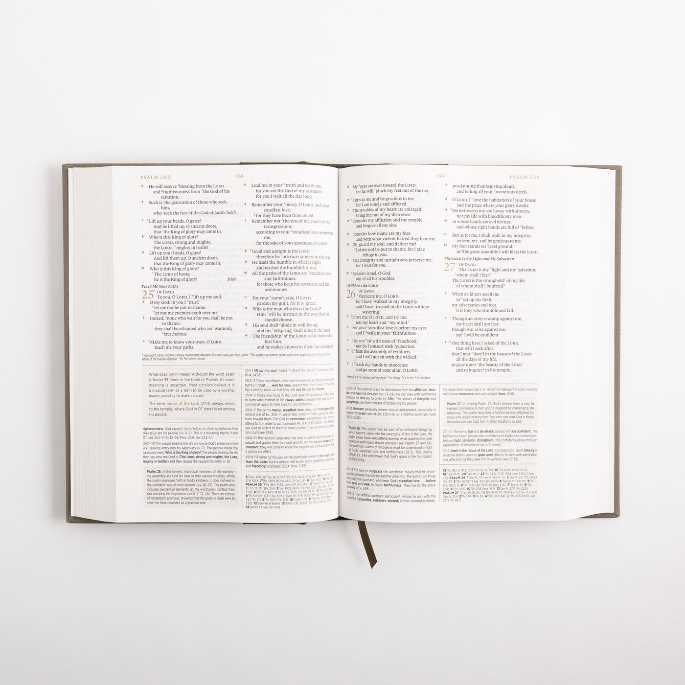 ESV Men's Study Bible - Hardcover