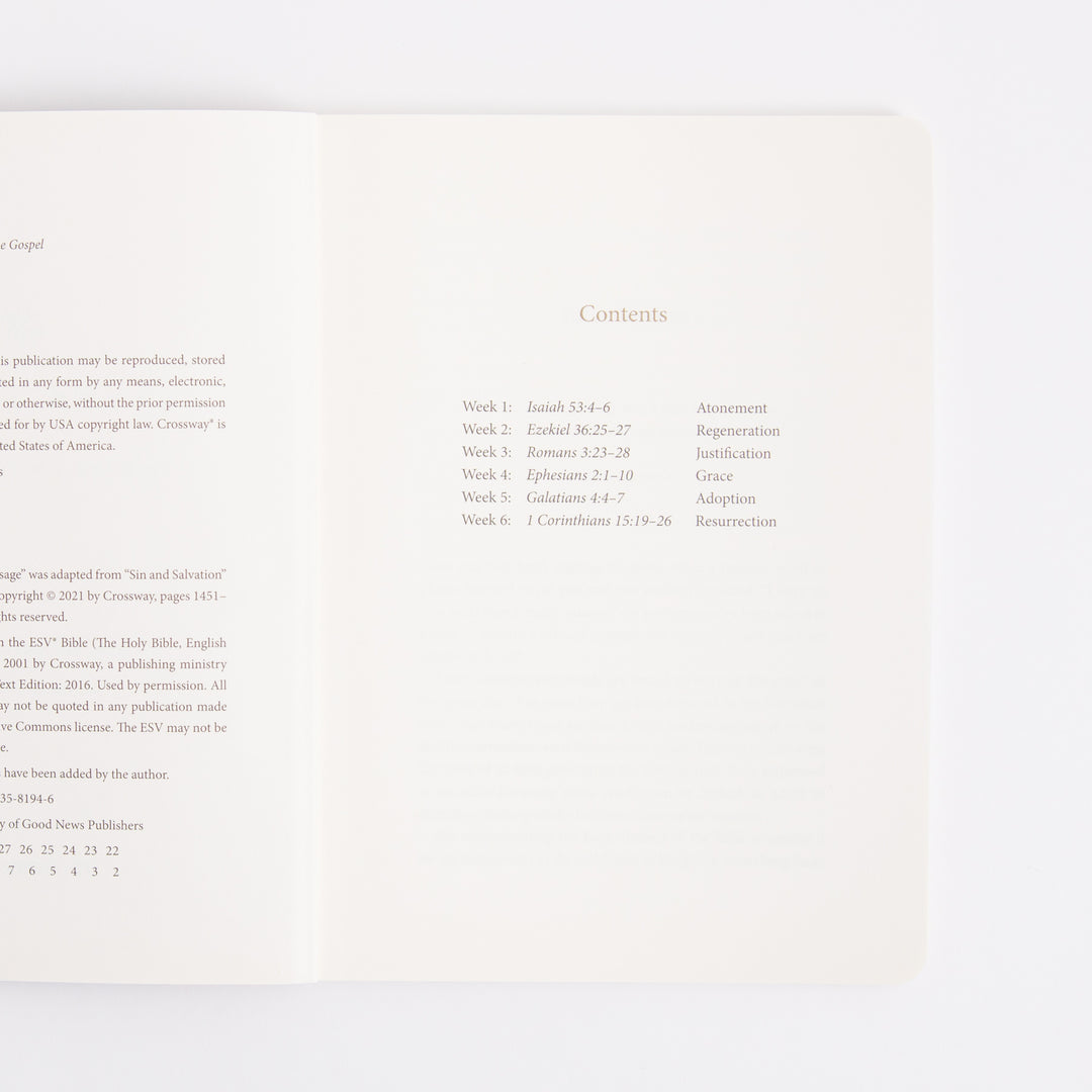 ESV Prayer Journal - 30 Days on the Gospel