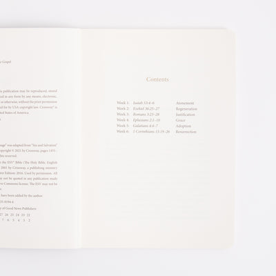 ESV Prayer Journal - 30 Days on the Gospel