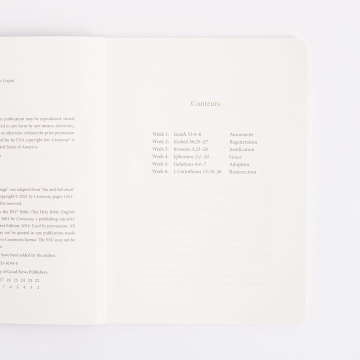 ESV Prayer Journal - 30 Days on the Gospel