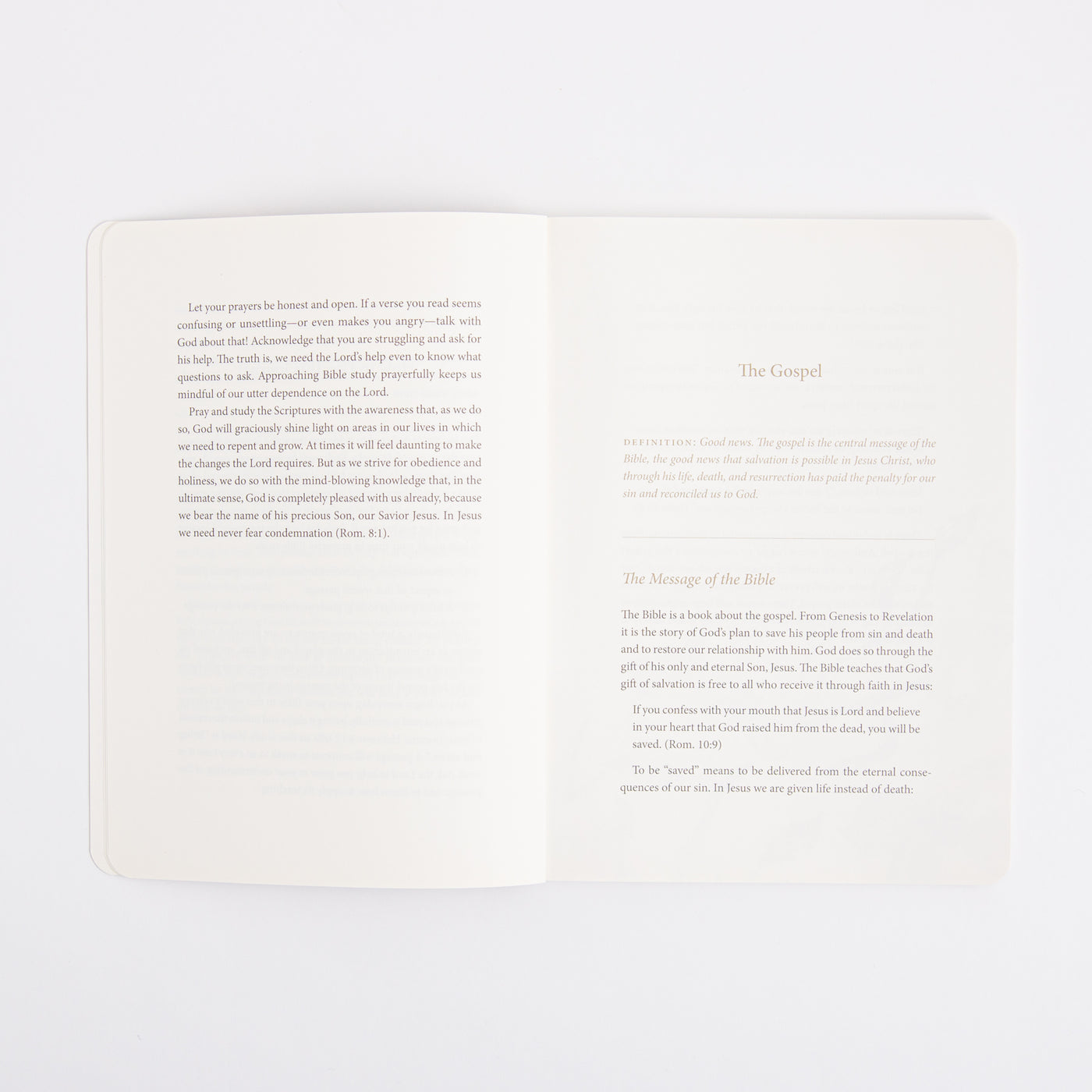 ESV Prayer Journal - 30 Days on the Gospel