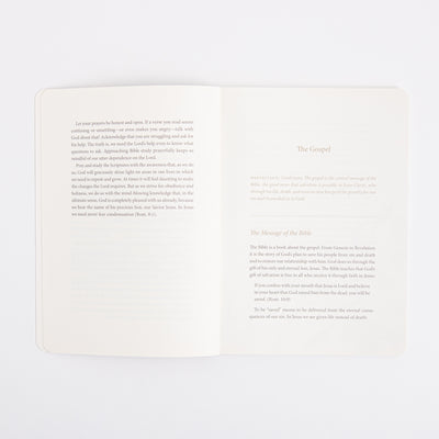 ESV Prayer Journal - 30 Days on the Gospel