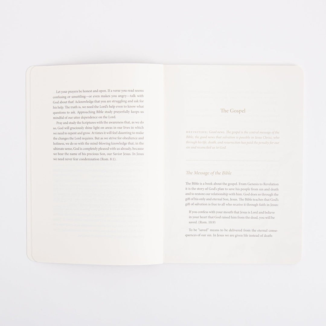 ESV Prayer Journal - 30 Days on the Gospel