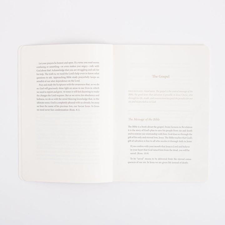 ESV Prayer Journal - 30 Days on the Gospel