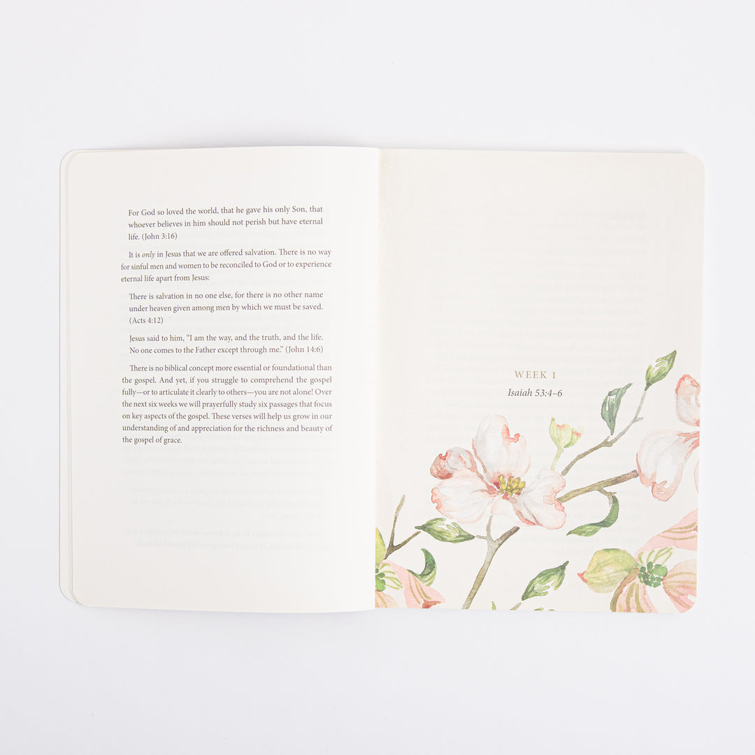 ESV Prayer Journal - 30 Days on the Gospel