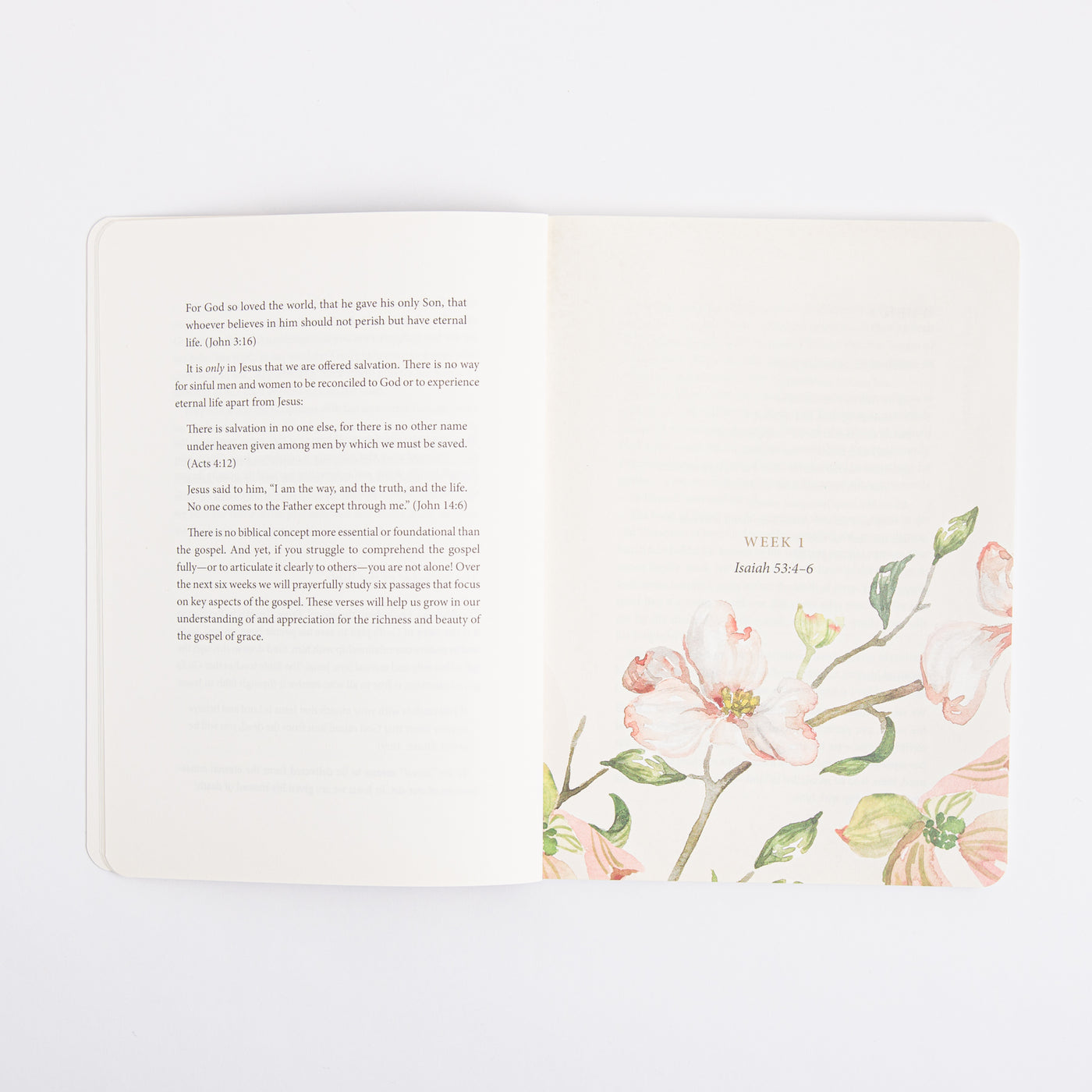 ESV Prayer Journal - 30 Days on the Gospel