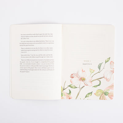ESV Prayer Journal - 30 Days on the Gospel