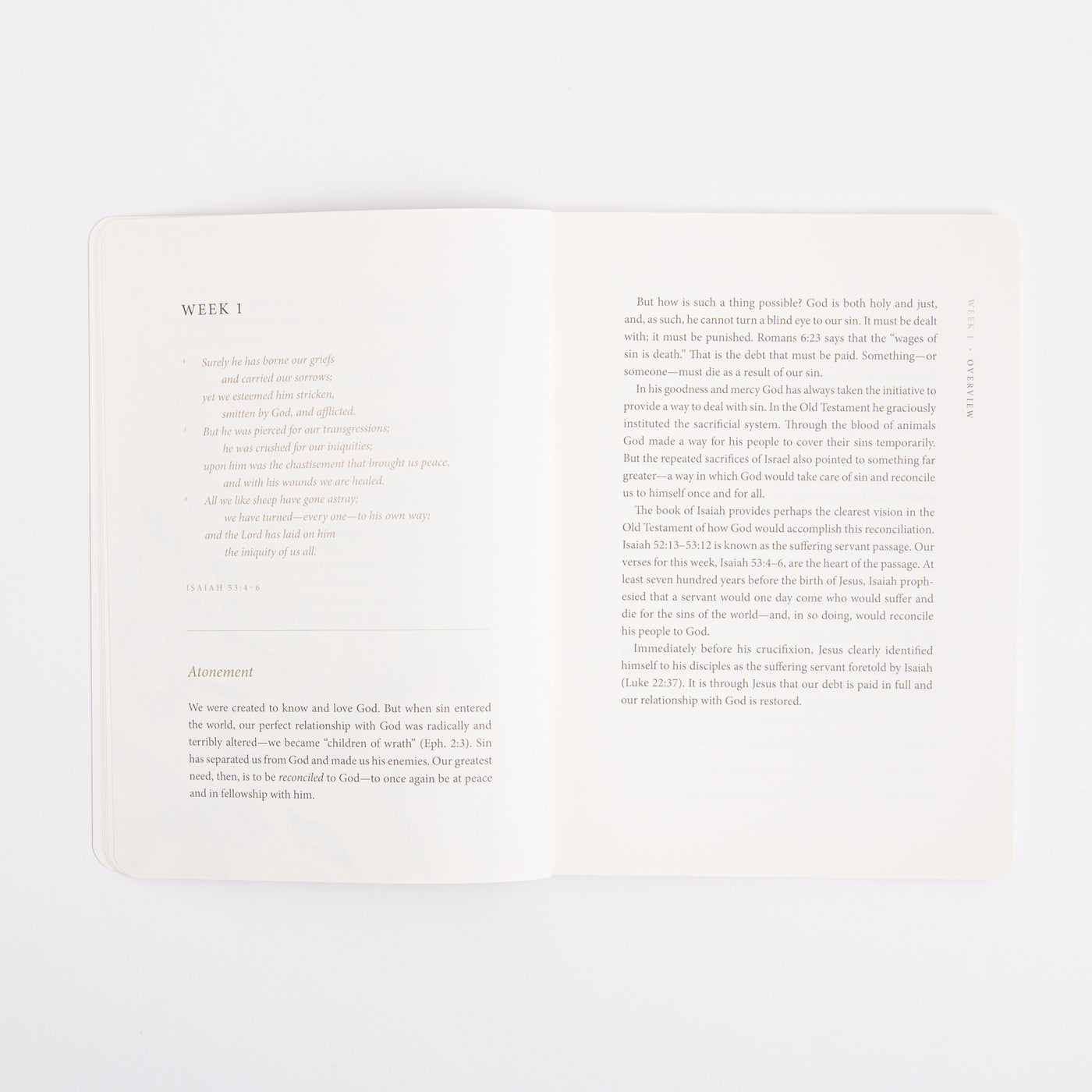 ESV Prayer Journal - 30 Days on the Gospel