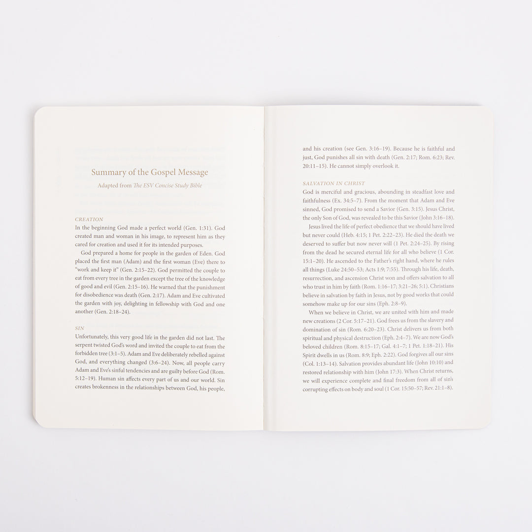 ESV Prayer Journal - 30 Days on the Gospel