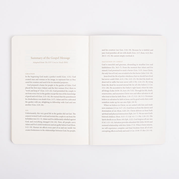 ESV Prayer Journal - 30 Days on the Gospel