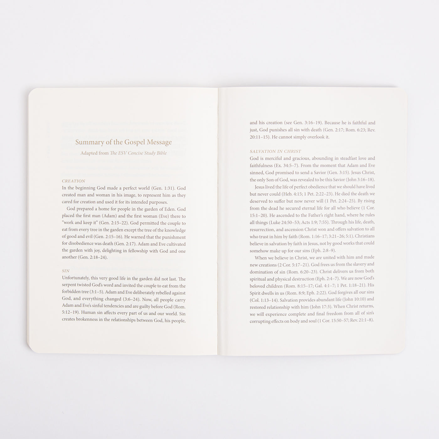 ESV Prayer Journal - 30 Days on the Gospel