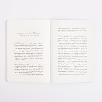 ESV Prayer Journal - 30 Days on the Gospel