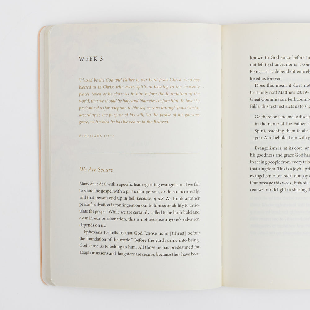 Open interior spread of the journal showing Week 3. The left page has the "WEEK 3" heading, an italicized Ephesians 1:3-6 scripture passage in orange text, and a "We Are Secure" devotional section on our security in Christ. The right page continues with commentary on the Great Commission and evangelism.