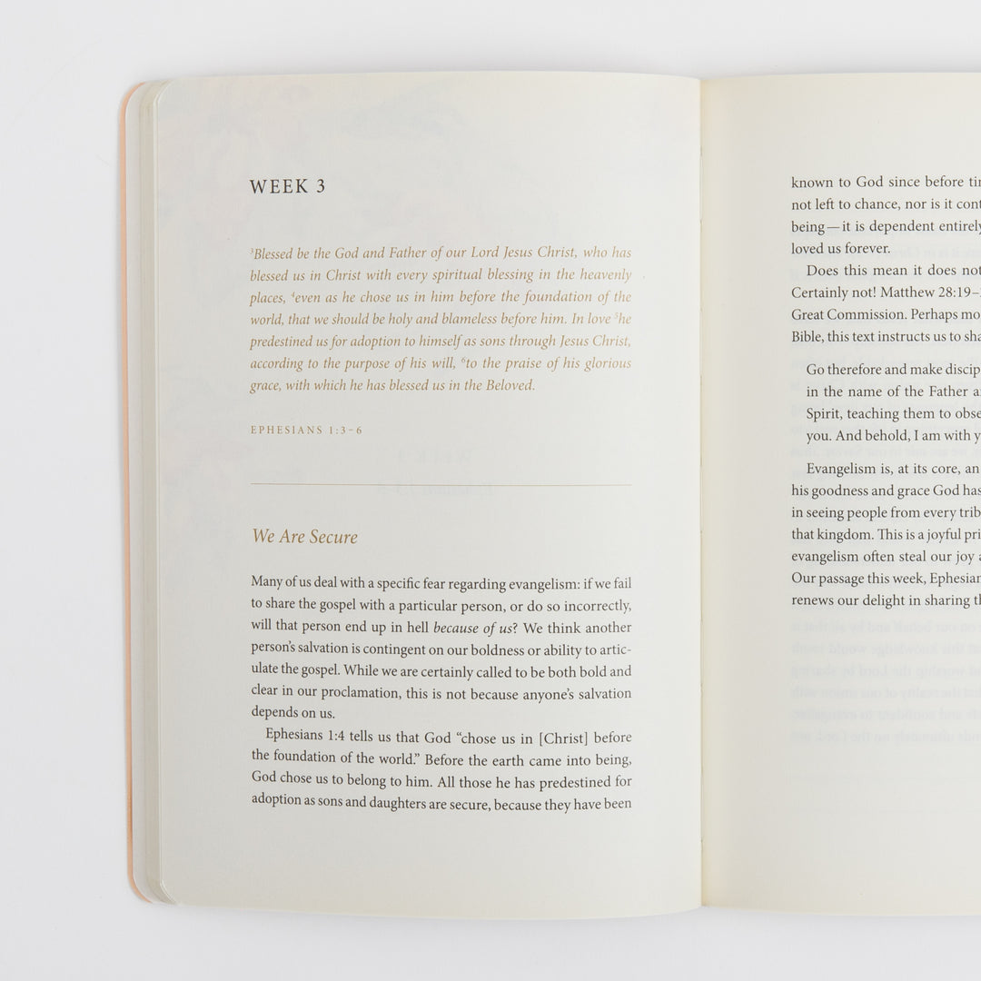 Open interior spread of the journal showing Week 3. The left page has the "WEEK 3" heading, an italicized Ephesians 1:3-6 scripture passage in orange text, and a "We Are Secure" devotional section on our security in Christ. The right page continues with commentary on the Great Commission and evangelism.
