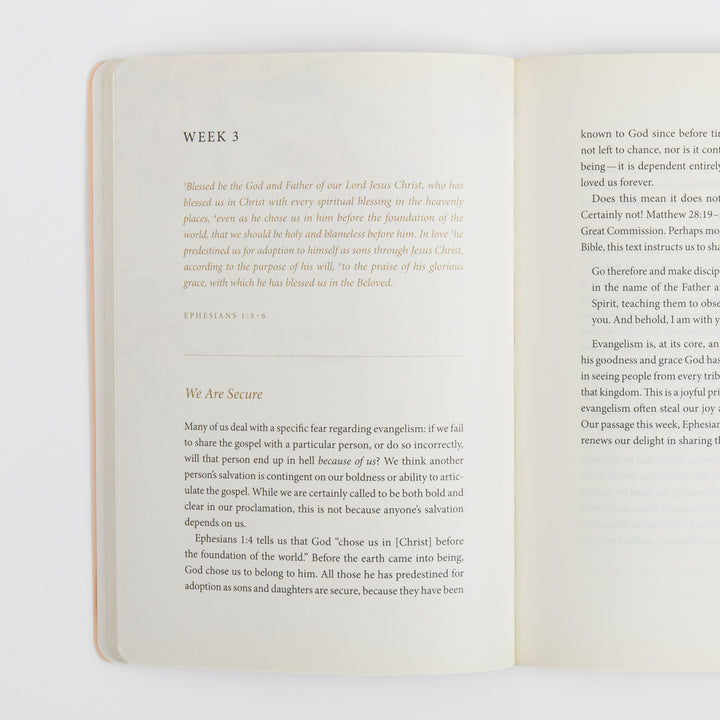Open interior spread of the journal showing Week 3. The left page has the "WEEK 3" heading, an italicized Ephesians 1:3-6 scripture passage in orange text, and a "We Are Secure" devotional section on our security in Christ. The right page continues with commentary on the Great Commission and evangelism.