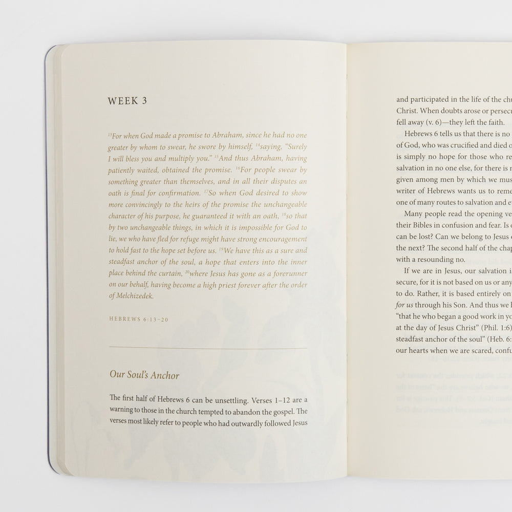 Open interior spread of the prayer journal. The left page is headed 'Week 3' with an italic excerpt from Hebrews 6:13-20 in olive text, followed by a devotional titled 'Our Soul's Anchor.' The right page continues the devotional commentary in black text, discussing the passage's meaning.